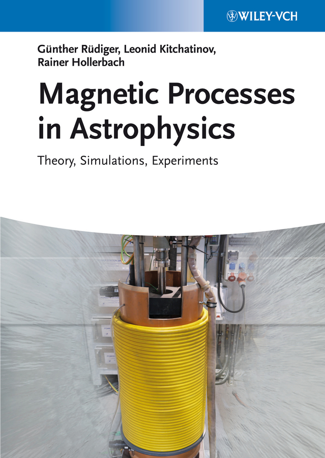 Обложка книги «Magnetic Processes in Astrophysics. Theory, Simulations, Experiments»