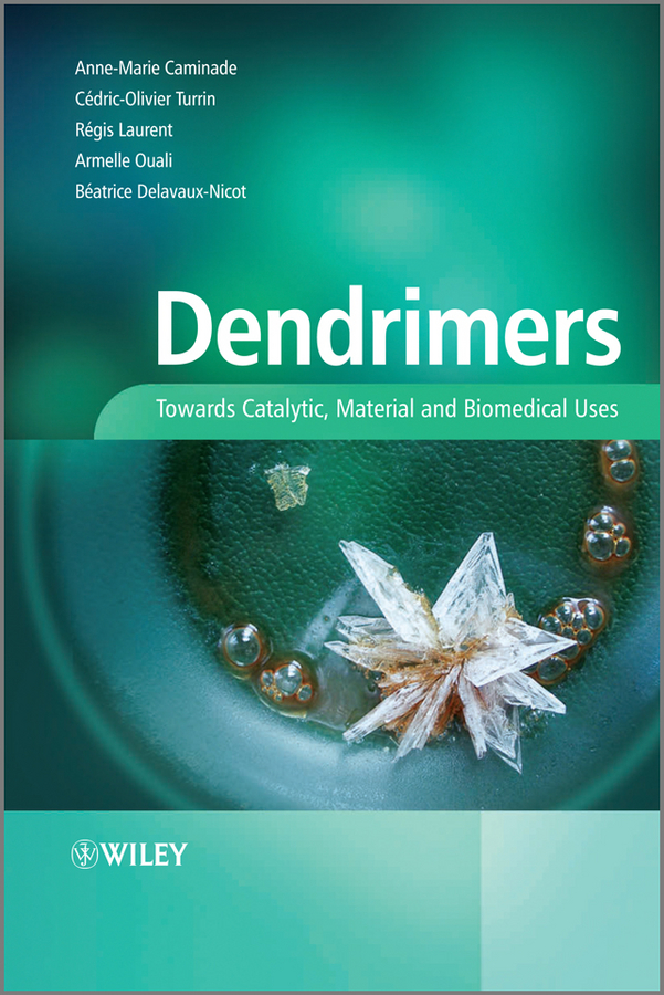 Обложка книги «Dendrimers. Towards Catalytic, Material and Biomedical Uses»