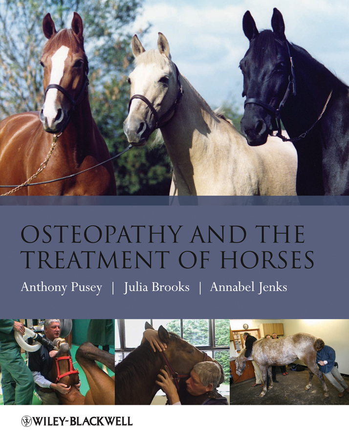 Обложка книги «Osteopathy and the Treatment of Horses»