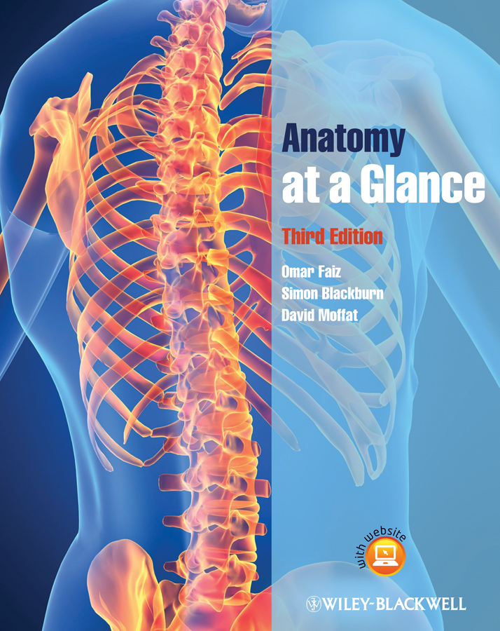 Обложка книги «Anatomy at a Glance»