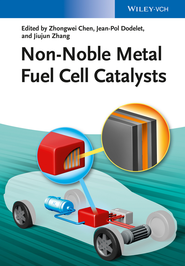 Обложка книги «Non-Noble Metal Fuel Cell Catalysts»