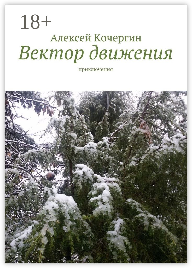 Обложка книги «Вектор движения. Приключения»
