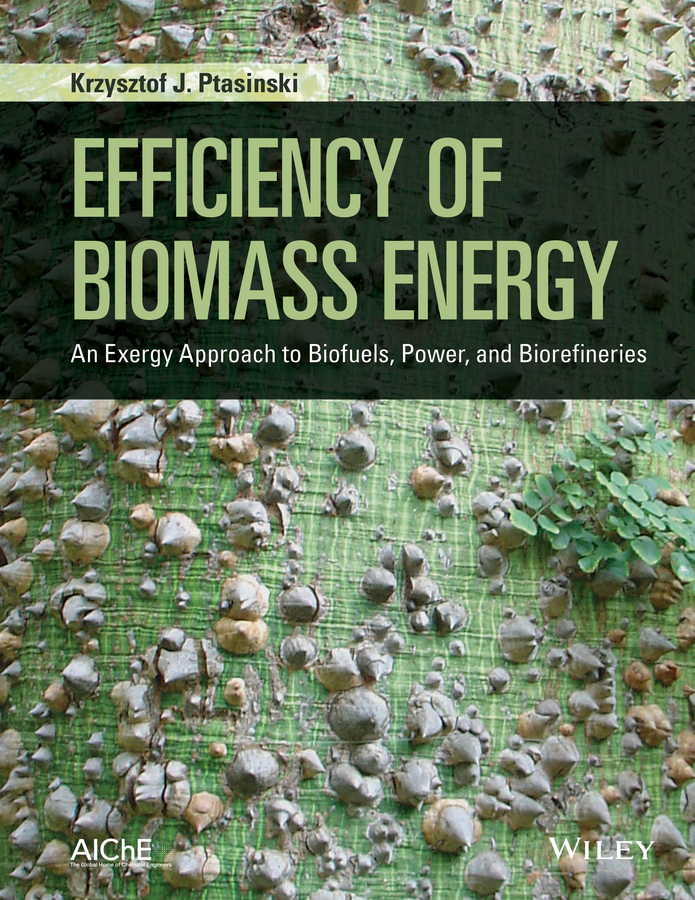 Обложка книги «Efficiency of Biomass Energy. An Exergy Approach to Biofuels, Power, and Biorefineries»