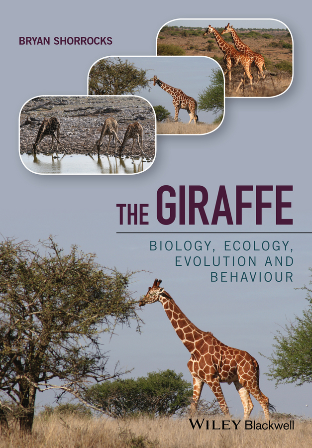 Обложка книги «The Giraffe. Biology, Ecology, Evolution and Behaviour»