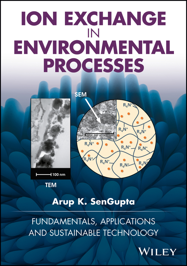 Обложка книги «Ion Exchange in Environmental Processes. Fundamentals, Applications and Sustainable Technology»