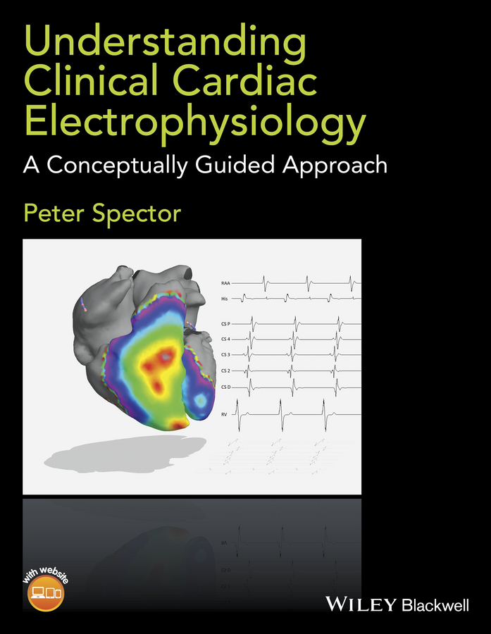 Обложка книги «Understanding Cardiac Electrophysiology. A Conceptually Guided Approach»