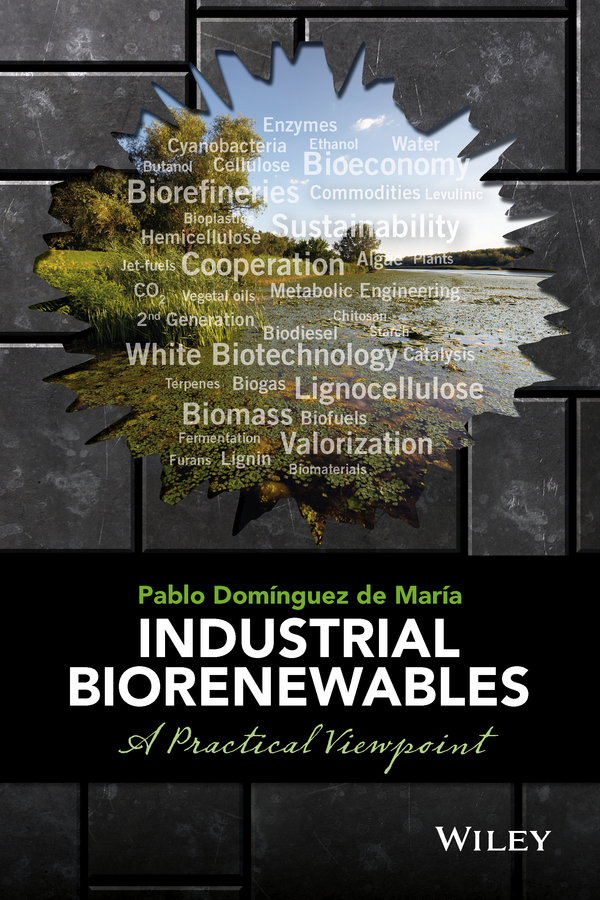 Обложка книги «Industrial Biorenewables. A Practical Viewpoint»