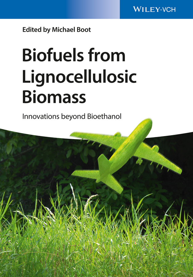 Обложка книги «Biofuels from Lignocellulosic Biomass. Innovations beyond Bioethanol»