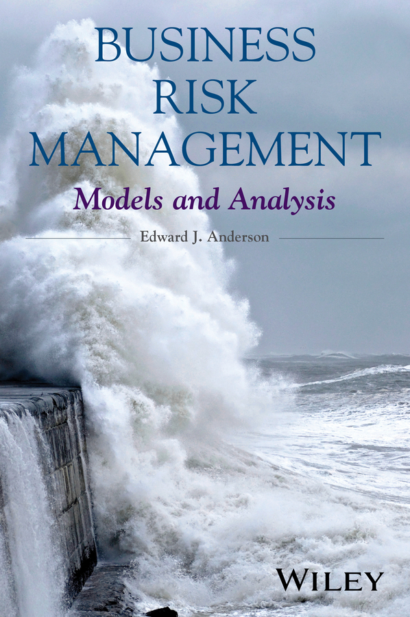 Обложка книги «Business Risk Management. Models and Analysis»