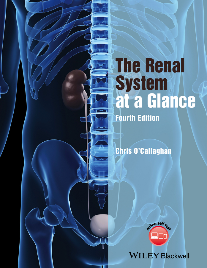 Обложка книги «The Renal System at a Glance»