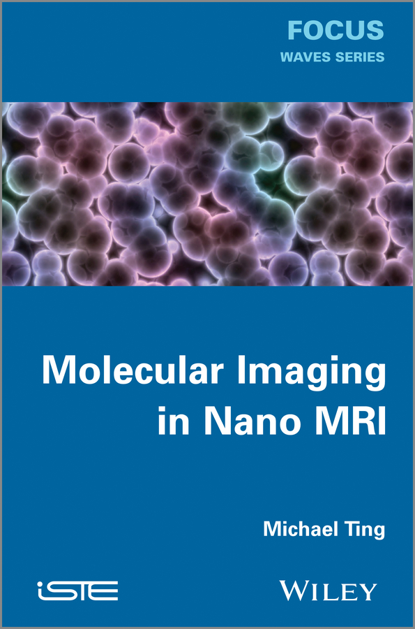 Обложка книги «Molecular Imaging in Nano MRI»