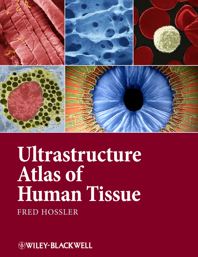 Обложка книги «Ultrastructure Atlas of Human Tissues»