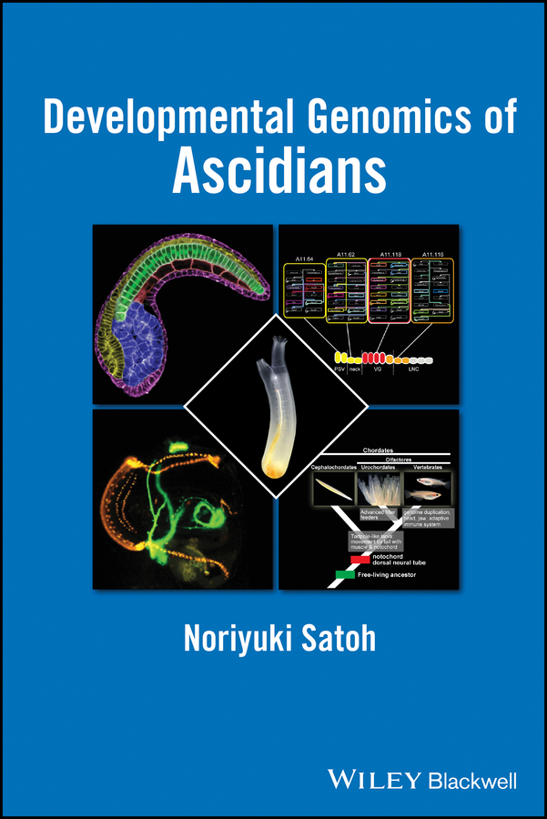 Обложка книги «Developmental Genomics of Ascidians»