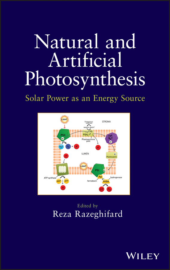 Обложка книги «Natural and Artificial Photosynthesis. Solar Power as an Energy Source»