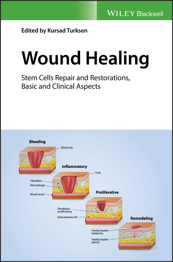 Обложка книги «Wound Healing. Stem Cells Repair and Restorations, Basic and Clinical Aspects»