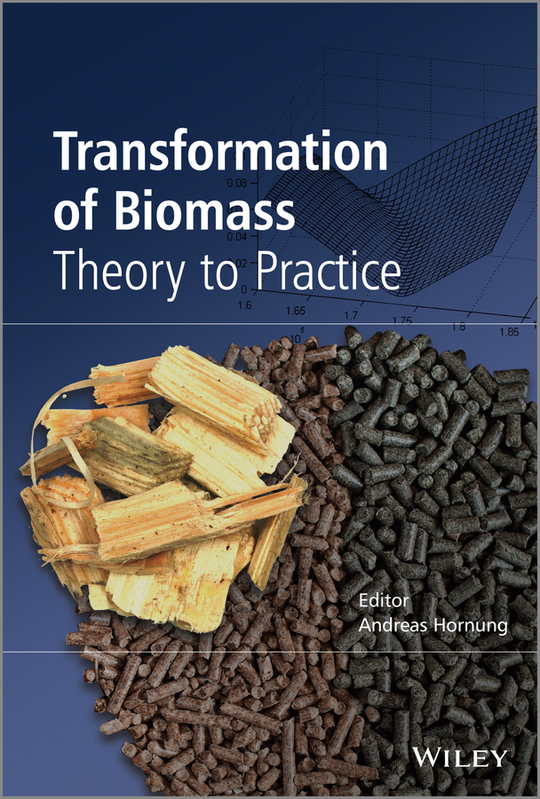 Обложка книги «Transformation of Biomass. Theory to Practice»