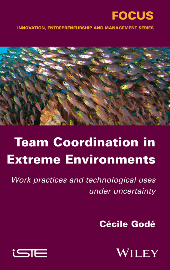 Обложка книги «Team Coordination in Extreme Environments. Work Practices and Technological Uses under Uncertainty»