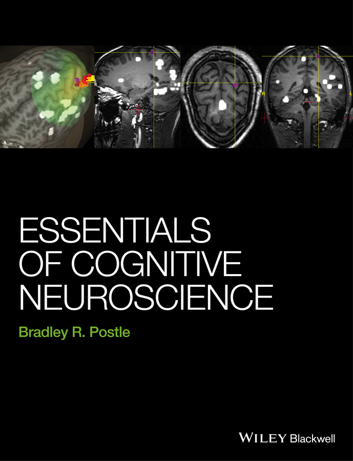 Обложка книги «Essentials of Cognitive Neuroscience»