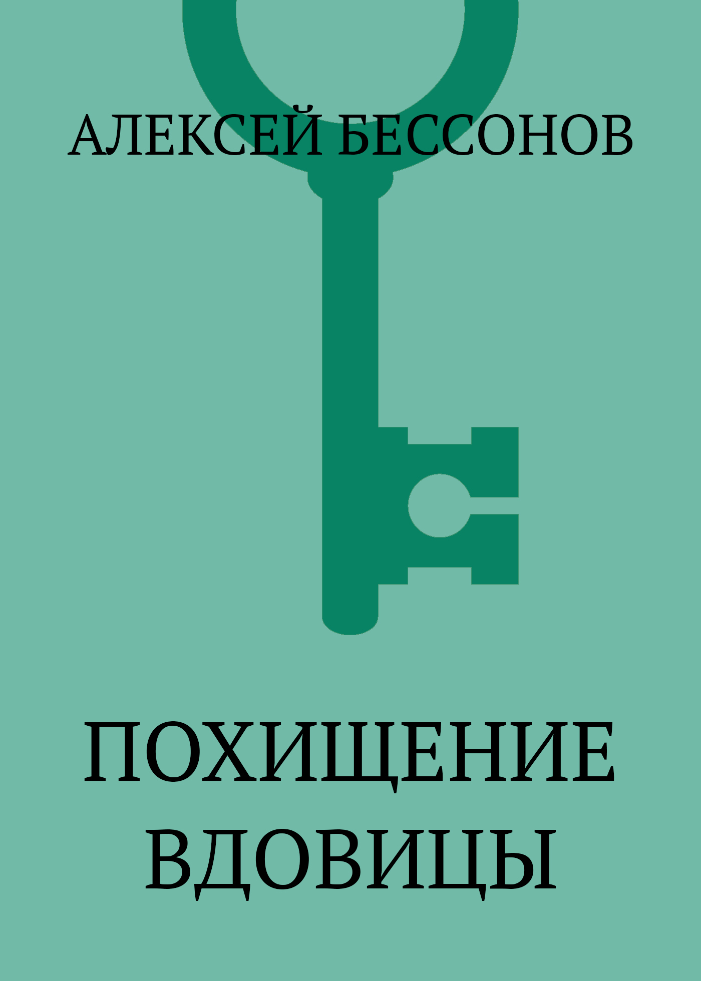 Обложка книги «Похищение вдовицы»