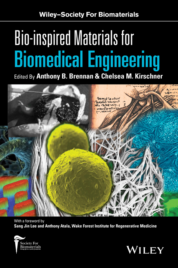 Обложка книги «Bio-inspired Materials for Biomedical Engineering»