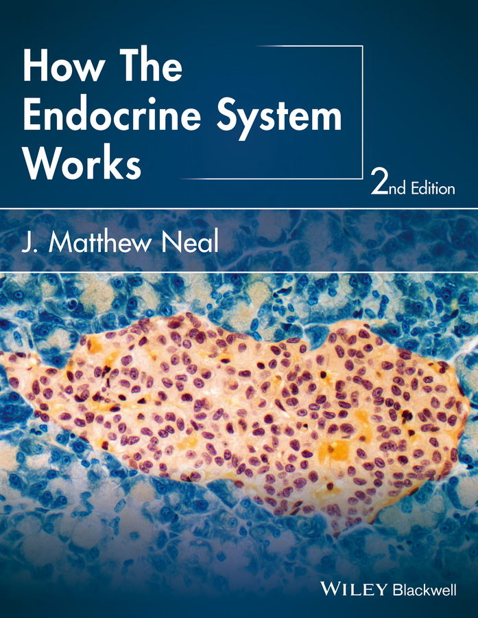Обложка книги «How the Endocrine System Works»