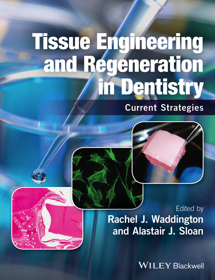 Обложка книги «Tissue Engineering and Regeneration in Dentistry. Current Strategies»