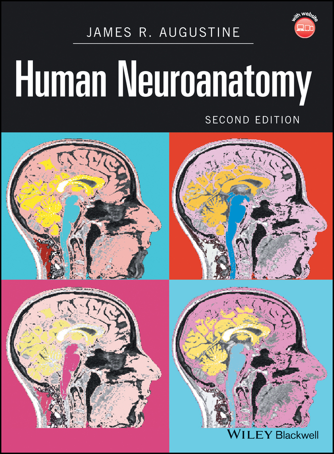 Обложка книги «Human Neuroanatomy»