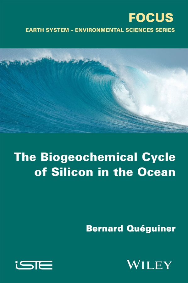 Обложка книги «The Biogeochemical Cycle of Silicon in the Ocean»