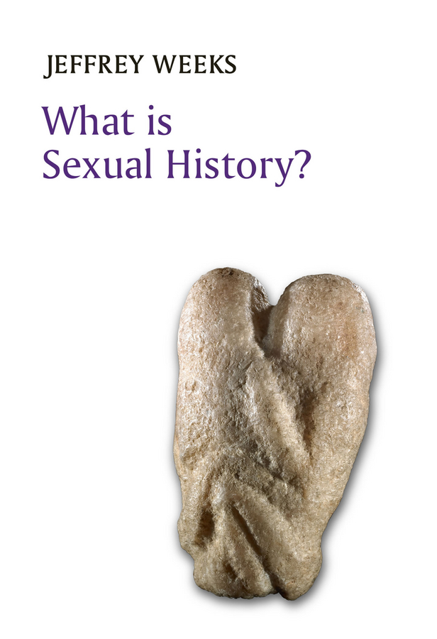 Обложка книги «What is Sexual History?»