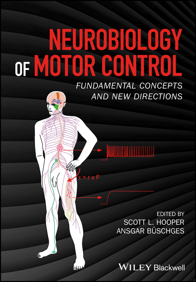 Обложка книги «Neurobiology of Motor Control. Fundamental Concepts and New Directions»