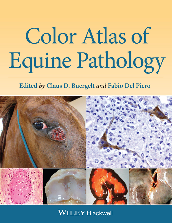 Обложка книги «Color Atlas of Equine Pathology»
