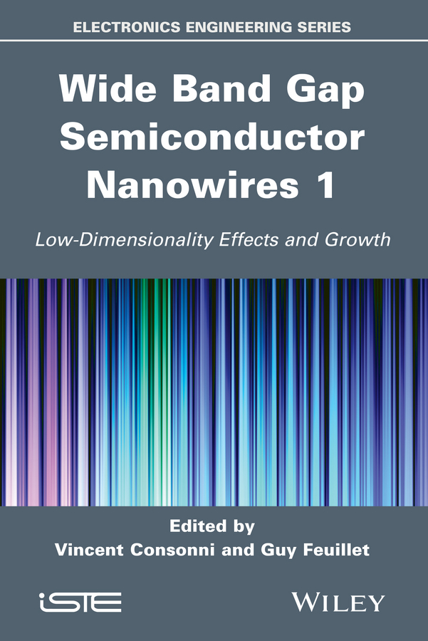 Обложка книги «Wide Band Gap Semiconductor Nanowires for Optical Devices. Low-Dimensionality Related Effects and Growth»