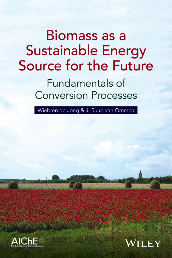 Обложка книги «Biomass as a Sustainable Energy Source for the Future. Fundamentals of Conversion Processes»