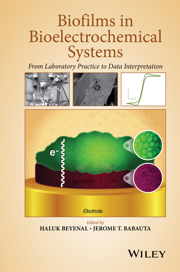 Обложка книги «Biofilms in Bioelectrochemical Systems. From Laboratory Practice to Data Interpretation»