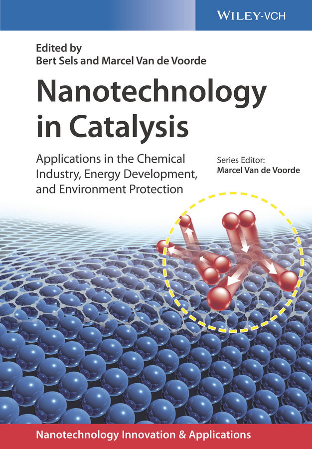 Обложка книги «Nanotechnology in Catalysis. Applications in the Chemical Industry, Energy Development, and Environment Protection»