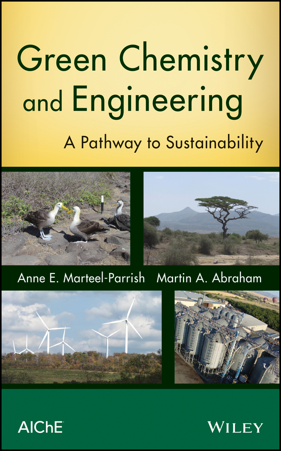 Обложка книги «Green Chemistry and Engineering. A Pathway to Sustainability»