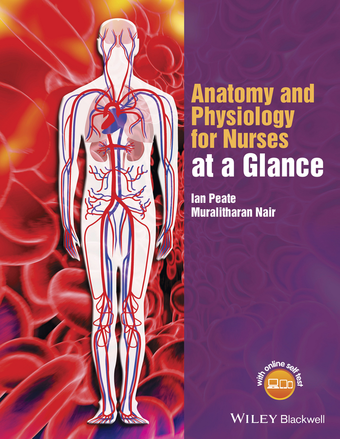 Обложка книги «Anatomy and Physiology for Nurses at a Glance»