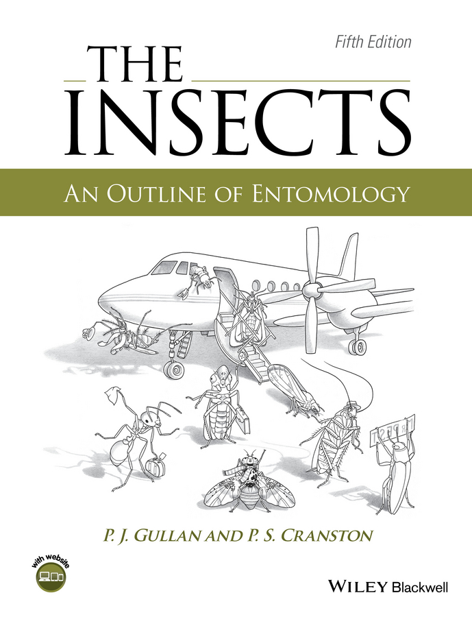 Обложка книги «The Insects. An Outline of Entomology»