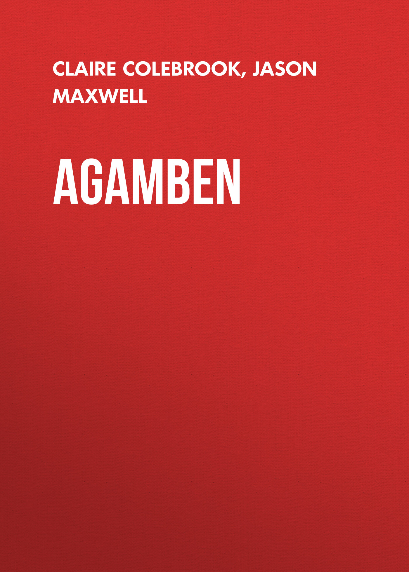Обложка книги «Agamben»