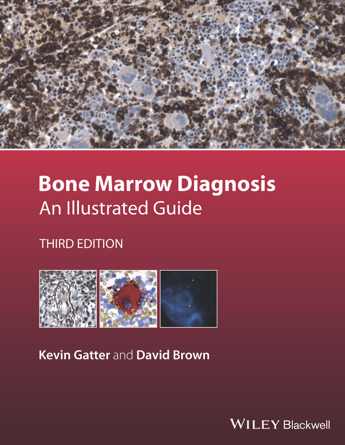 Обложка книги «Bone Marrow Diagnosis. An Illustrated Guide»