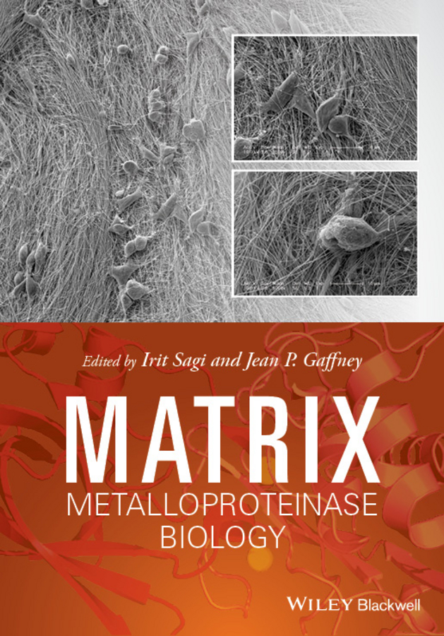 Обложка книги «Matrix Metalloproteinase Biology»