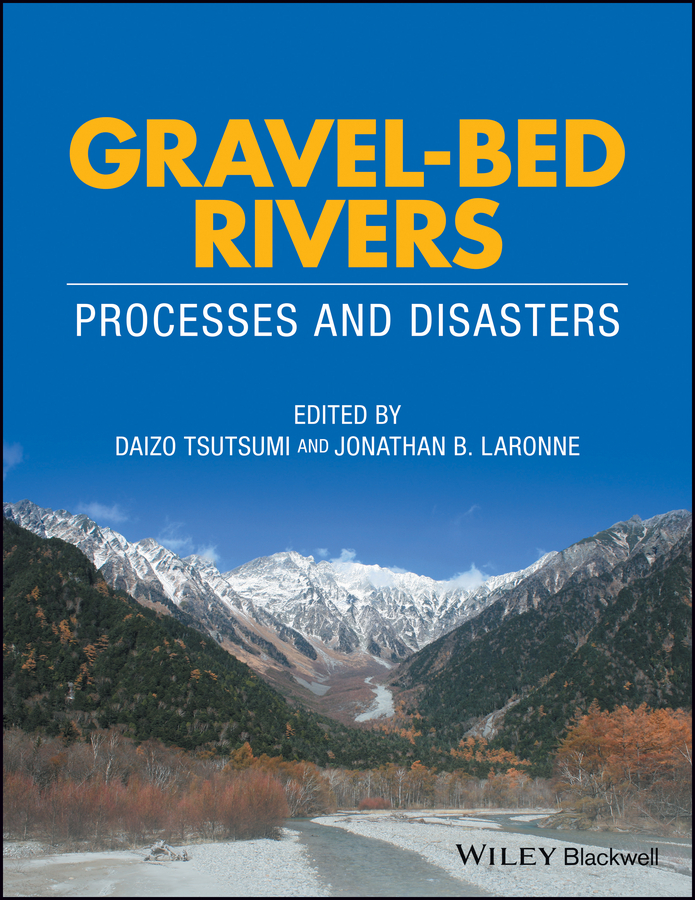 Обложка книги «Gravel-Bed Rivers. Process and Disasters»