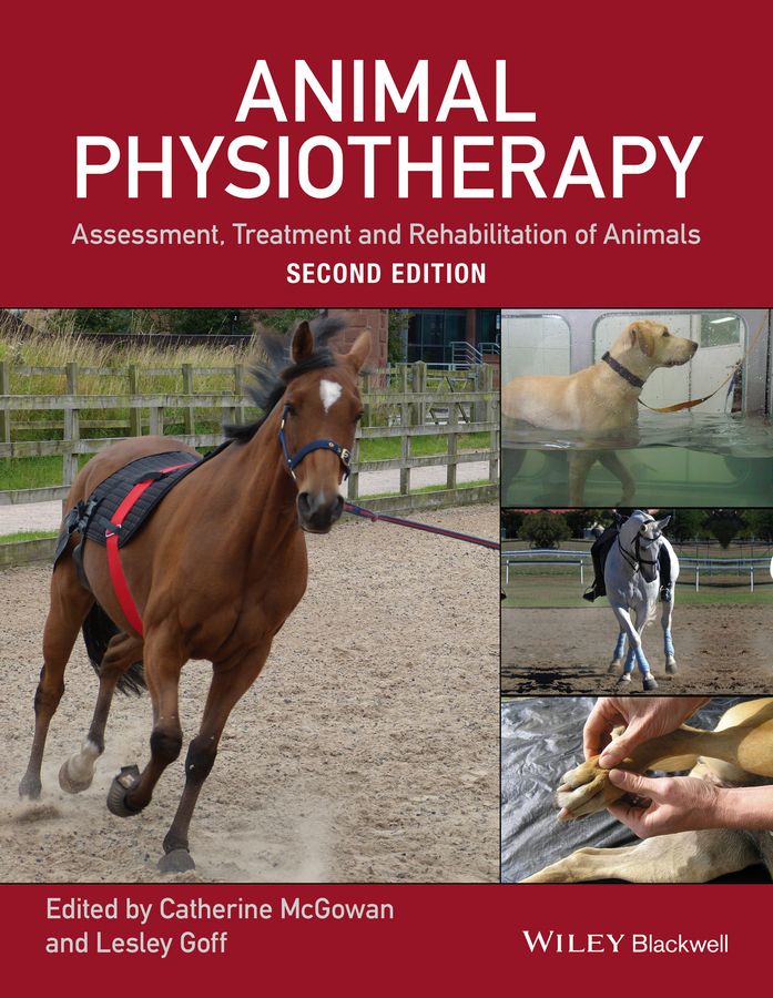 Обложка книги «Animal Physiotherapy. Assessment, Treatment and Rehabilitation of Animals»