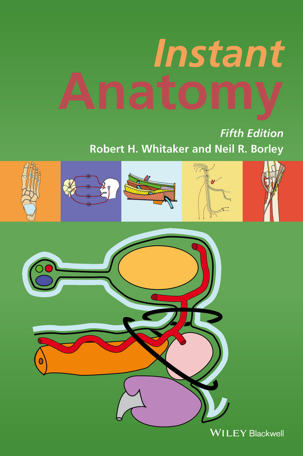 Обложка книги «Instant Anatomy»
