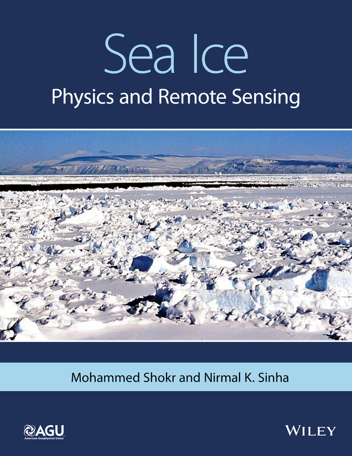 Обложка книги «Sea Ice. Physics and Remote Sensing»