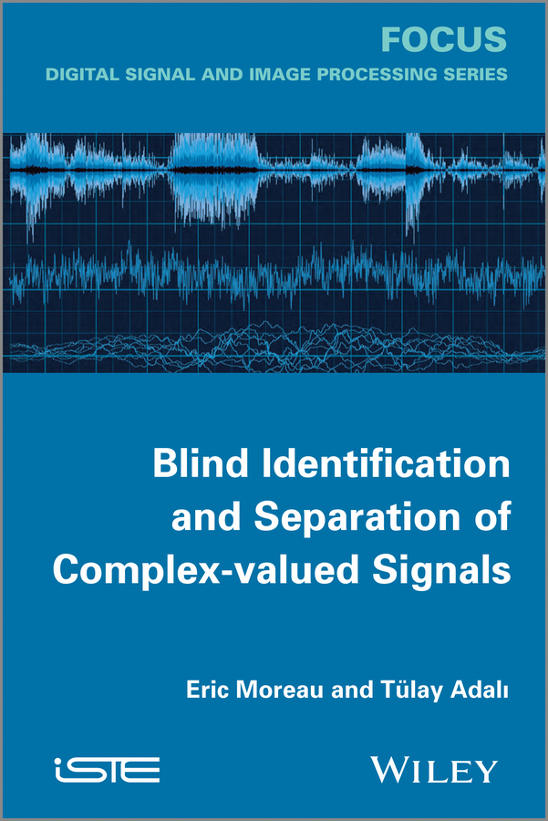 Обложка книги «Blind Identification and Separation of Complex-valued Signals»