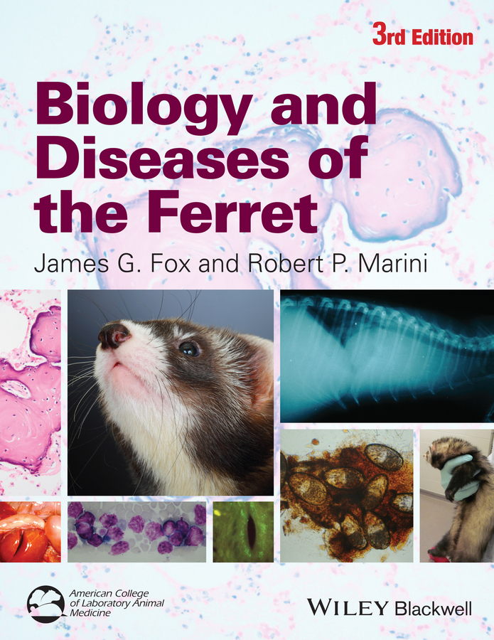 Обложка книги «Biology and Diseases of the Ferret»