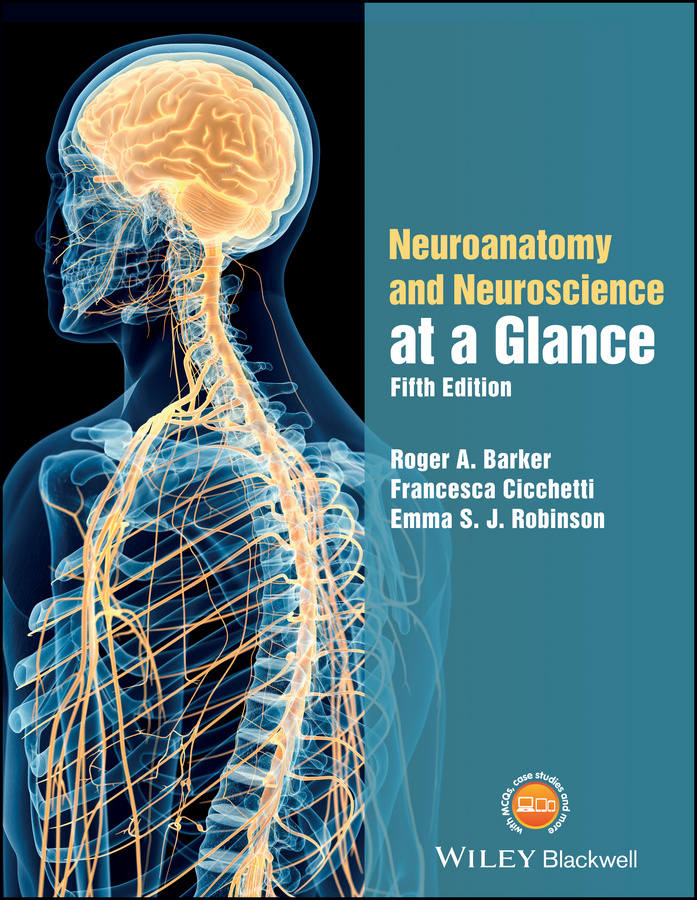 Обложка книги «Neuroanatomy and Neuroscience at a Glance»