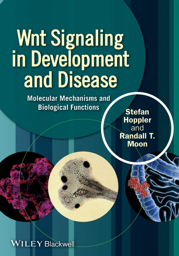 Обложка книги «Wnt Signaling in Development and Disease. Molecular Mechanisms and Biological Functions»