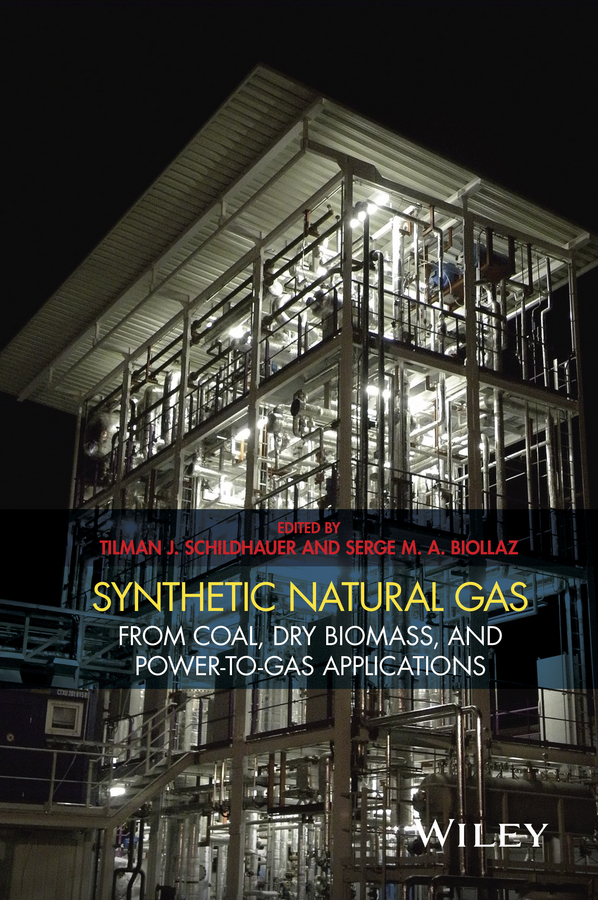 Обложка книги «Synthetic Natural Gas. From Coal, Dry Biomass, and Power-to-Gas Applications»